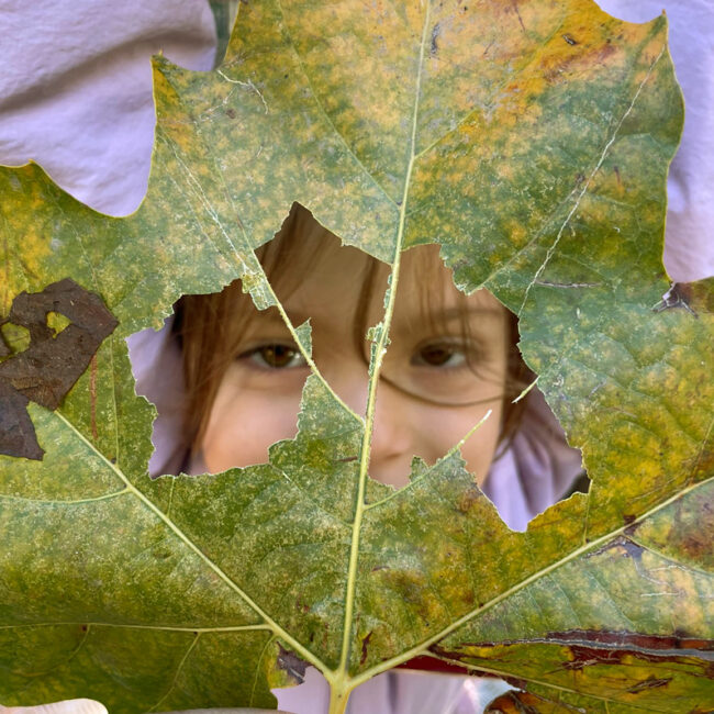 gestione-scule-la-nuvola-nel-sacco